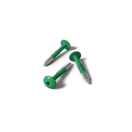 Fisinox kleurkopschroef 4,8 x 50 T20 A2 RAL 6010 grasgroen