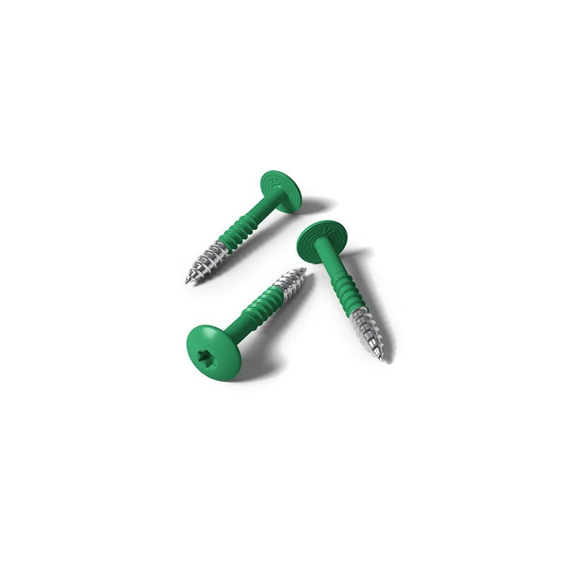 Fisinox kleurkopschroef 4,8 x 50 T20 A2 RAL 6010 grasgroen