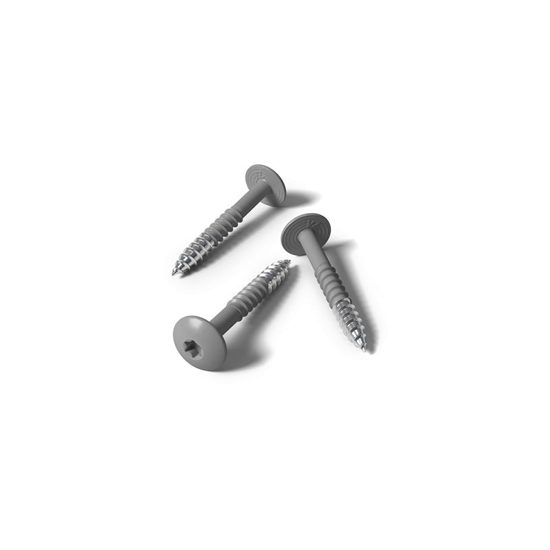 Fisinox kleurkopschroef 4,8 x 50 T20 A2 RAL 7039 kwartsgrijs