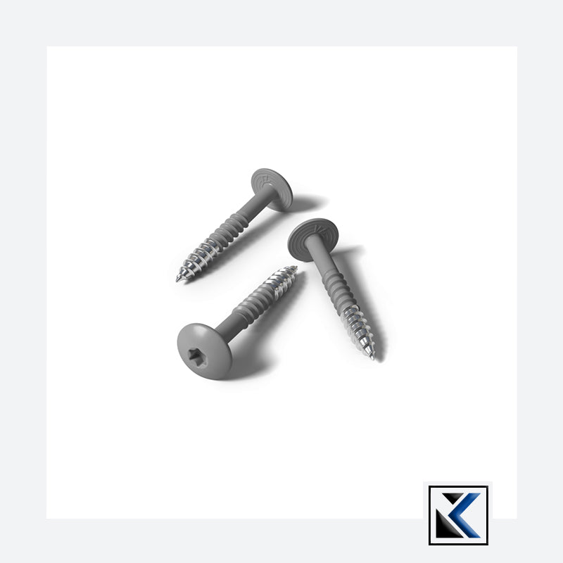 Fisinox kleurkopschroef 4,8 x 50 T20 A2 RAL 7039 kwartsgrijs
