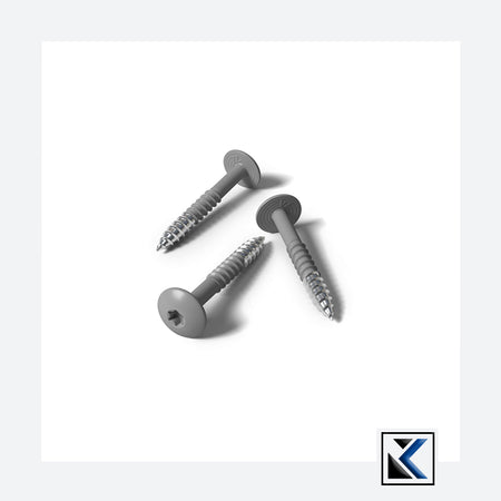 Fisinox kleurkopschroef 4,8 x 50 T20 A2 RAL 7039 kwartsgrijs
