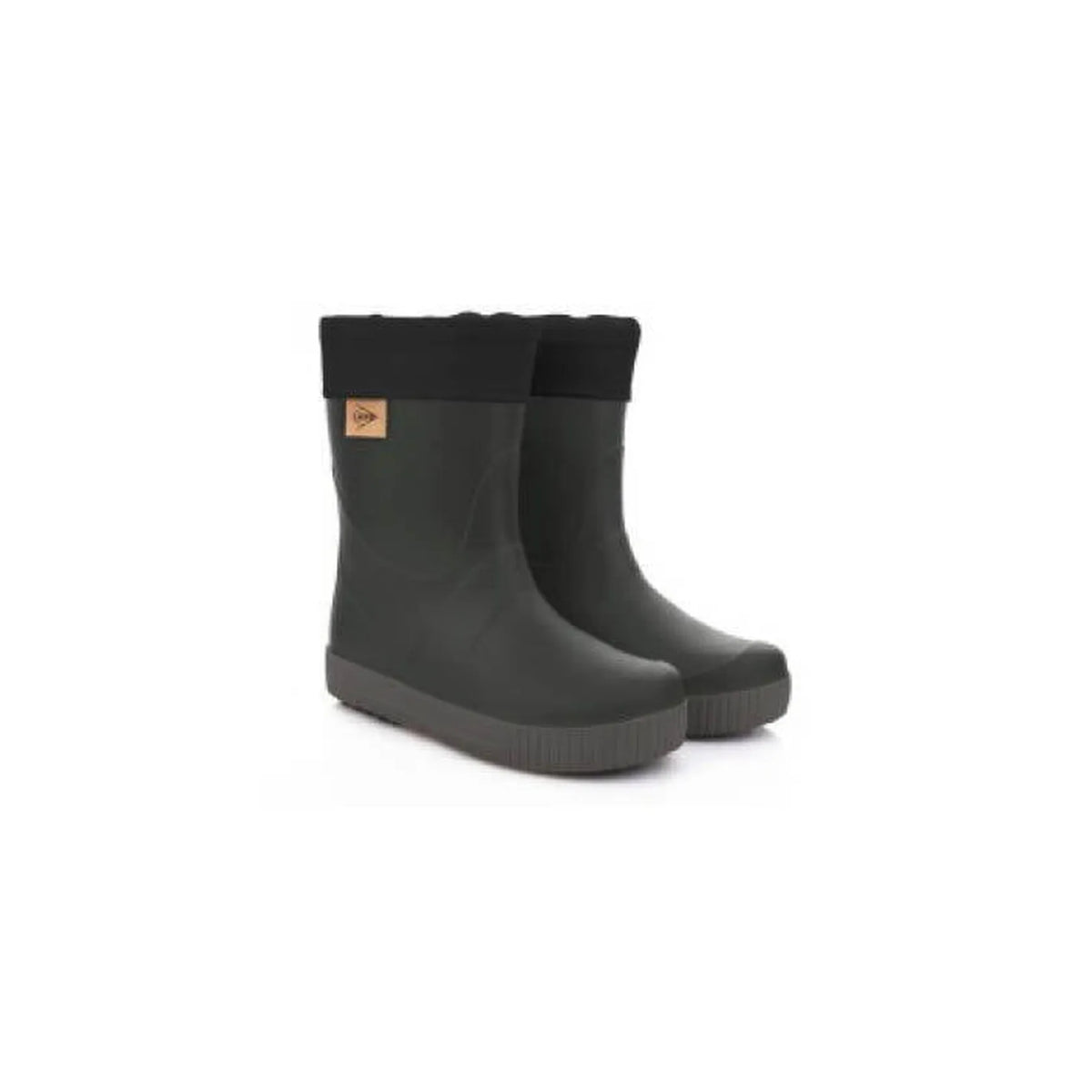 GVVPA0W regen- en winterlaarzen Dunlop black