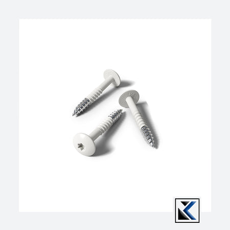 Fisinox kleurkopschroef 4,8 x 50 T20 A2 RAL 9018 papyruswit