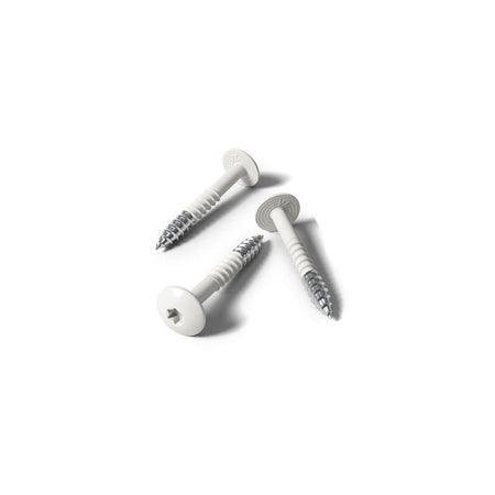 Fisinox kleurkopschroef 4,8 x 50 T20 A2 RAL 9006 witaluminium
