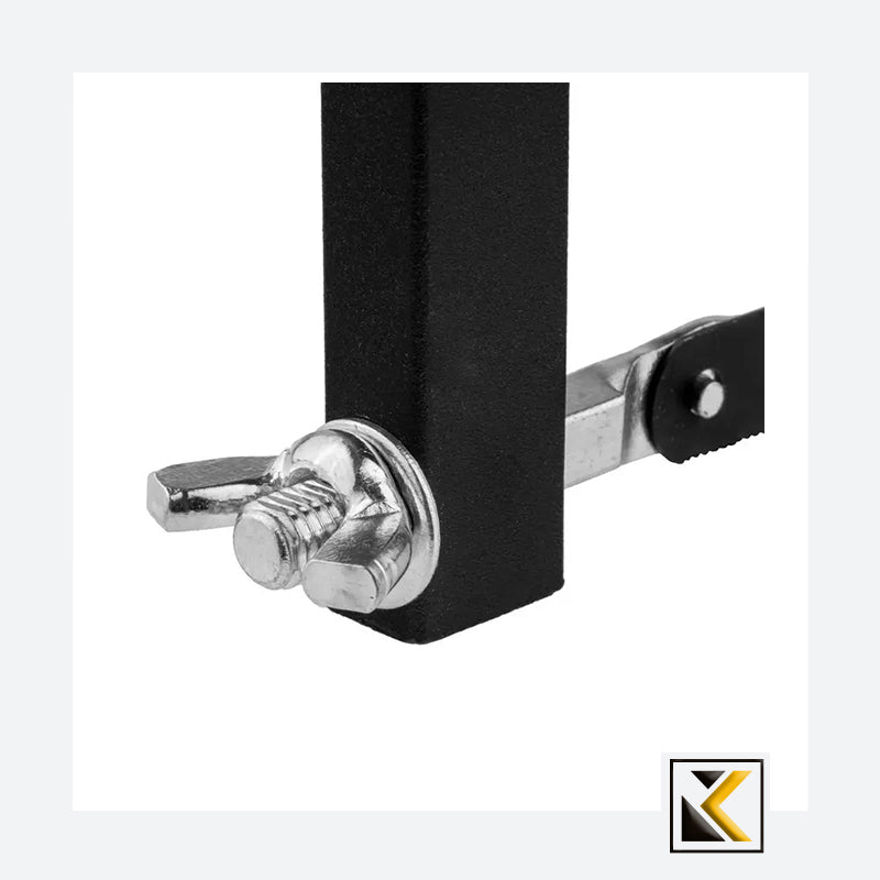 Ijzerzaagframe - Vega-model